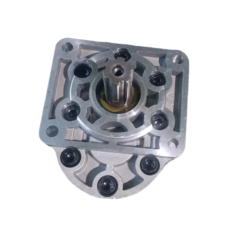 High Pressure Oil Gear Pump CBN-F63 CBN-F520 Series CBN-F540-BFHR CBN-F532-BFHR CBN-F540-BFHL CBN-F532-BFHL