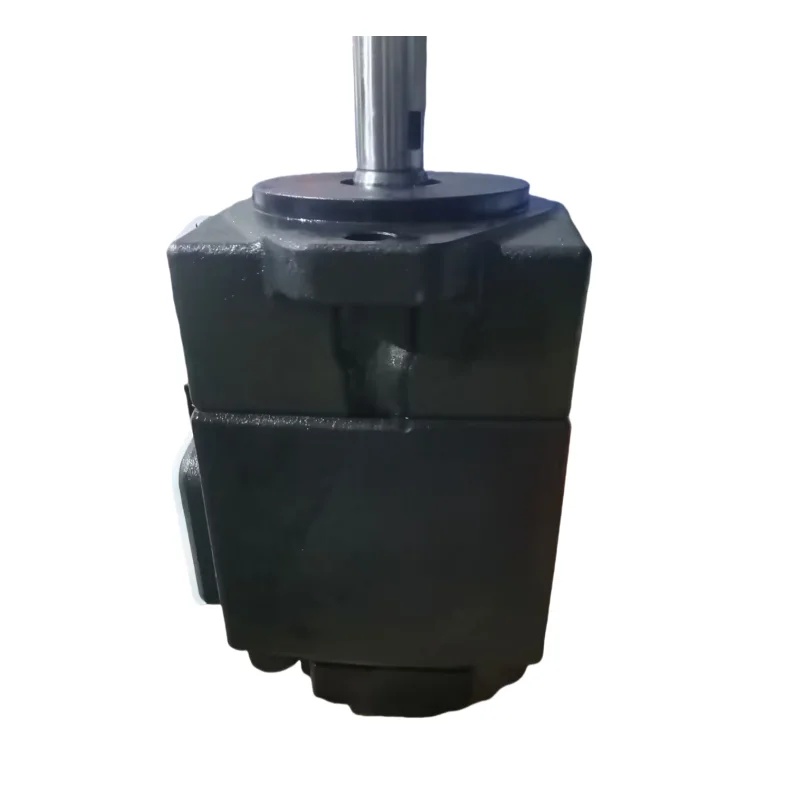 PV2R12-31-65-F-REAA-41 PV2R12-19-65-L-REAA-43 PV2R2-33-F-RAA-41 PV2R13-19-116L-RAAA-43 Hydraulic Vane Pump